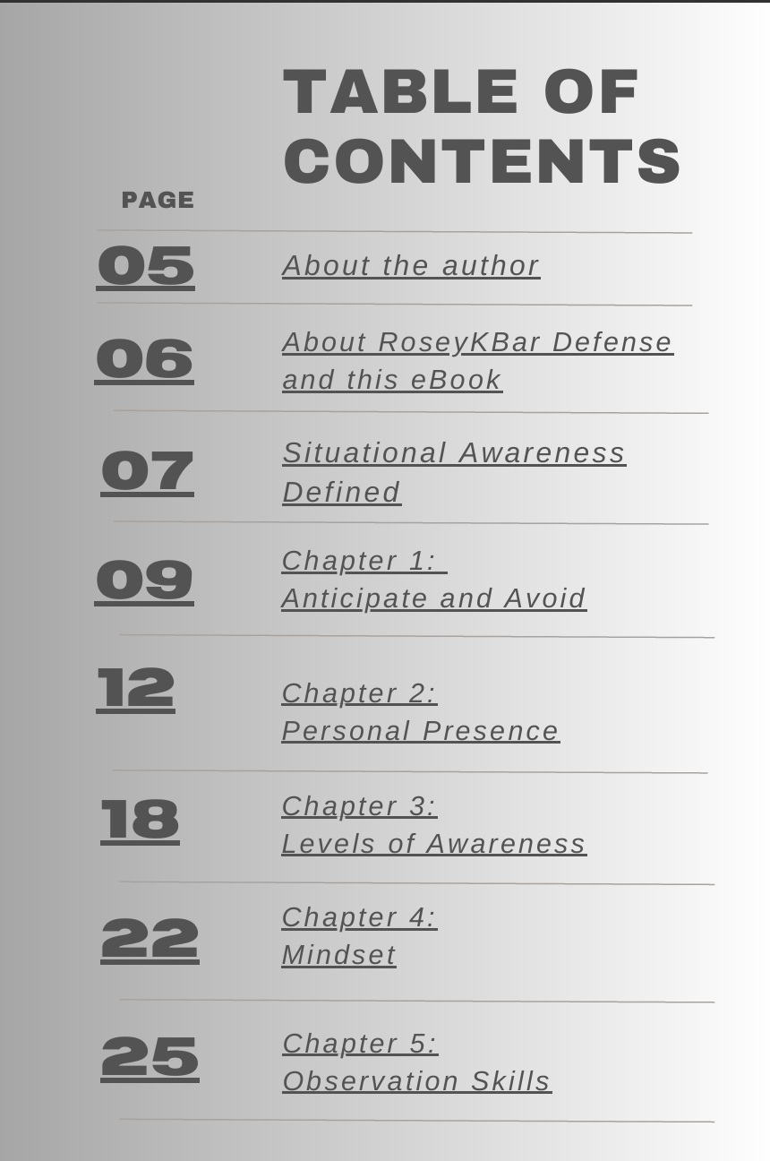 The Art of Perception: A Handbook for Situational Awareness (e-book) - Image 3